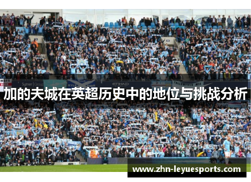 加的夫城在英超历史中的地位与挑战分析 加的夫城在英超历史中的地位与挑战分析
