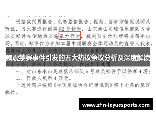 魏震禁赛事件引发的五大热议争议分析及深度解读
