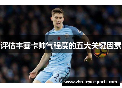 评估丰塞卡帅气程度的五大关键因素