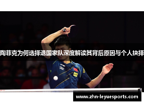 陶菲克为何选择退国家队深度解读其背后原因与个人抉择