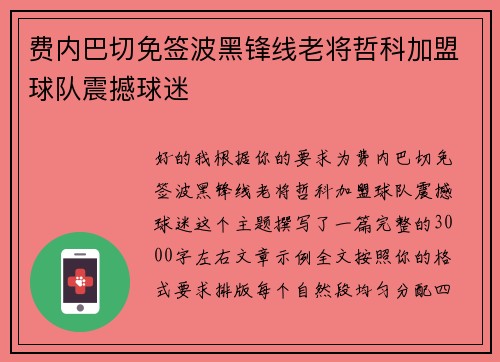 费内巴切免签波黑锋线老将哲科加盟球队震撼球迷