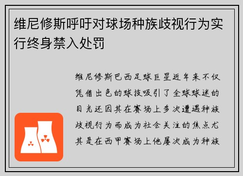 维尼修斯呼吁对球场种族歧视行为实行终身禁入处罚